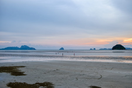 The sunset ,Thailand trang sea.の写真素材