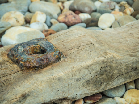 Pebbles and a woodの写真素材