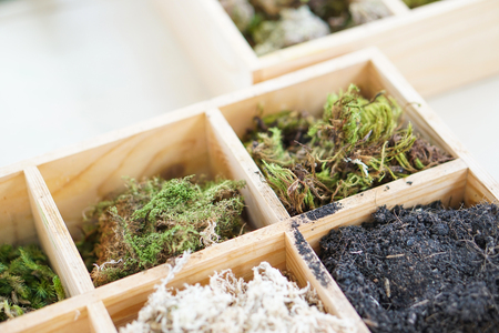artificial terrarium supply kit moss plant dirt decoration boxの写真素材