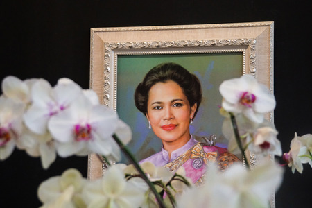 Thai queen painting orchid flower foregroundのeditorial素材