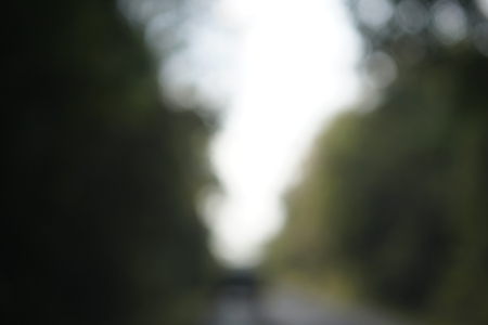 Blur car on road forest trees travel backgroundの写真素材