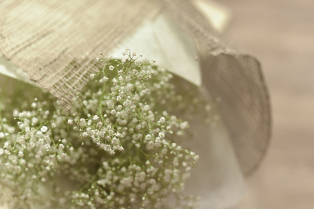 valentine's day minimal white flower for loverの写真素材