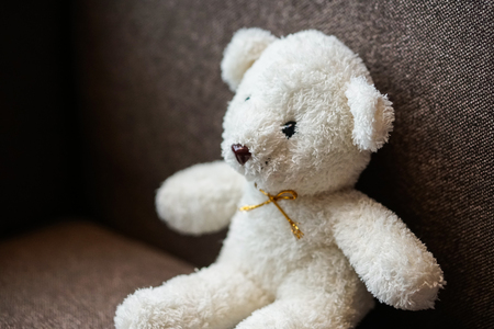 white teddy bear doll toy sit on a sofa couchの写真素材
