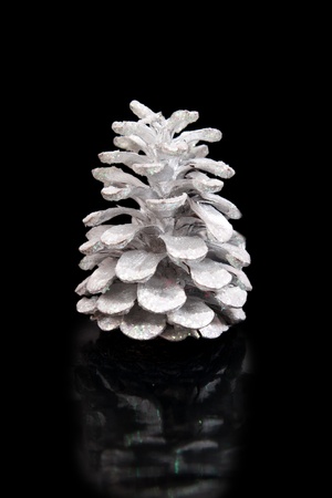 silver pine cone on black backgroundの写真素材