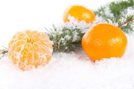 tangerines with a pine branch on snow backgroundの写真素材