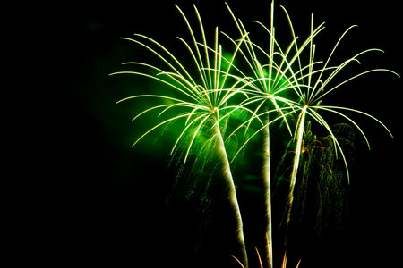Green palm fireworks on the black sky background with copyspace for text