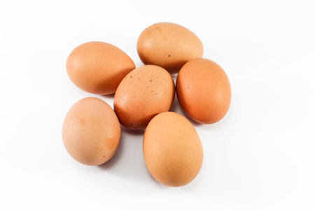 egg