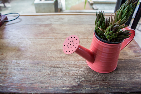 A small plant potの写真素材