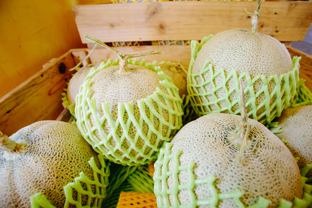 Box of cantalope melons at the farmers market.の写真素材