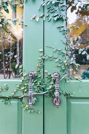 old door locked with vine cover the door.の写真素材