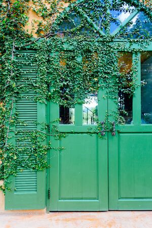 old door locked with vine cover the door.の写真素材