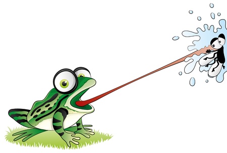 Vector  Frog  のイラスト素材