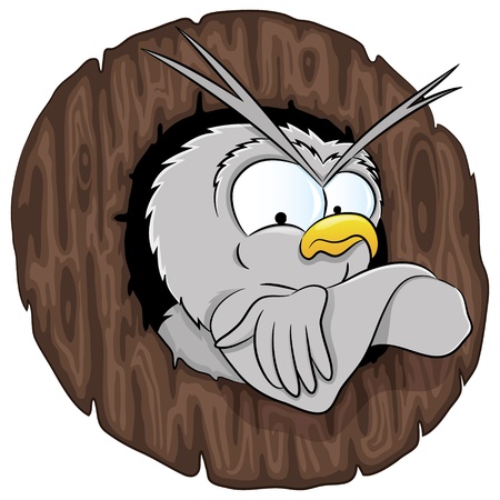 Vector  Cartoon owl のイラスト素材