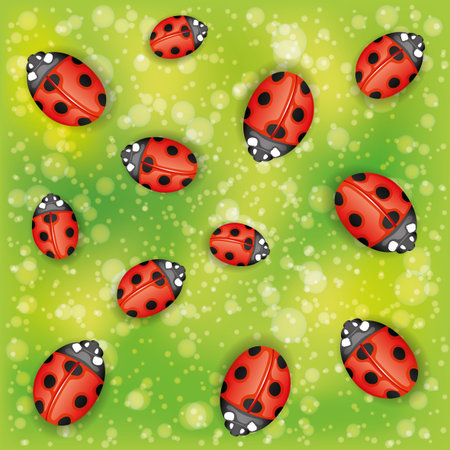 Background  Ladybugs の写真素材