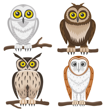 Owls.のイラスト素材