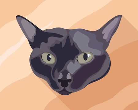 Nice cat.のイラスト素材