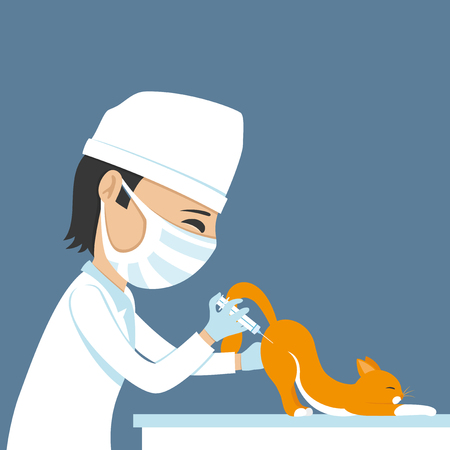 Veterinarian makes injection.のイラスト素材