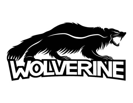 Wolverine animal.のイラスト素材