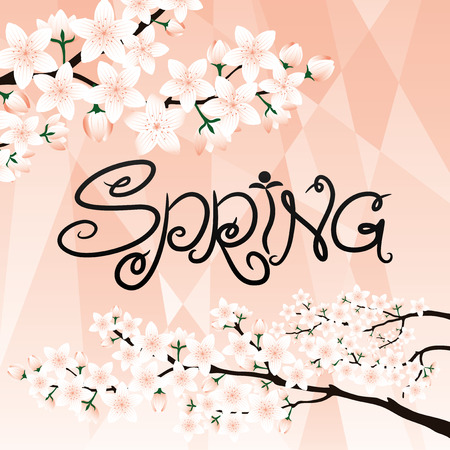 Spring illustration with cherry blossoms.のイラスト素材