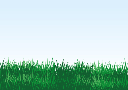 Green grass on a blue background.のイラスト素材