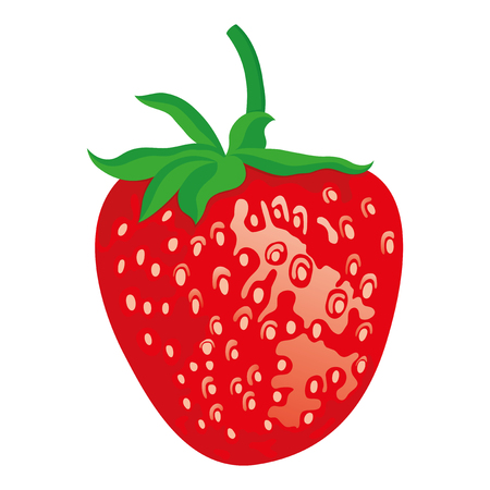 Ripe red strawberries.のイラスト素材