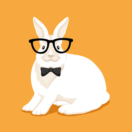 Stylish white rabbit with glasses.のイラスト素材