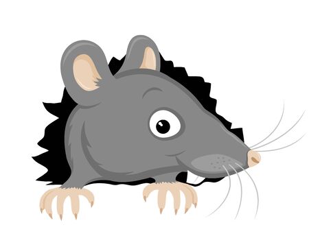 Cute gray rat gnawed a hole on a white background.のイラスト素材