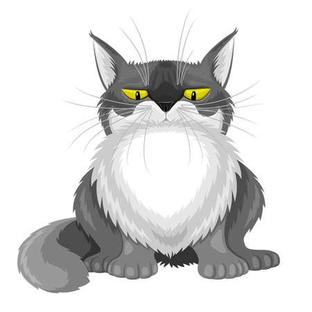 Cute gray fluffy cat on white background.のイラスト素材