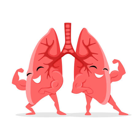 Healthy and strong lungs on white background.のイラスト素材