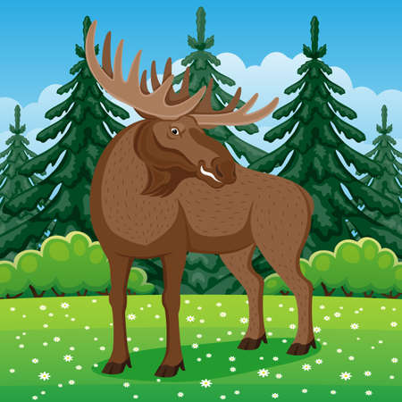 Nature illustration with moose on grass in coniferous forest.のイラスト素材
