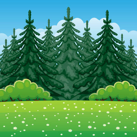 Illustration of summer nature with coniferous forest.のイラスト素材