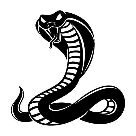 Illustration with angry cobra icon on white background.のイラスト素材