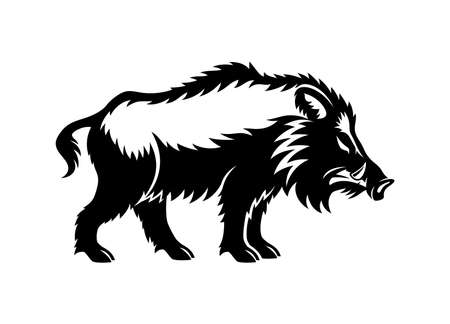 Angry wild boar icon isolated on white background.のイラスト素材