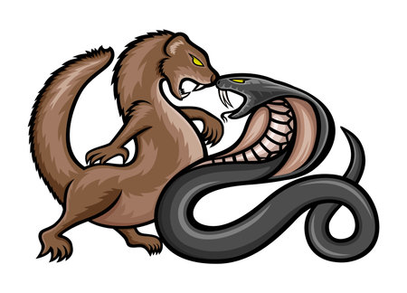 Angry Mongoose And Cobra Icon On White Background のイラスト素材 イメージマート