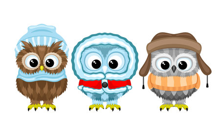 Three owls in winter clothes on a white background.のイラスト素材