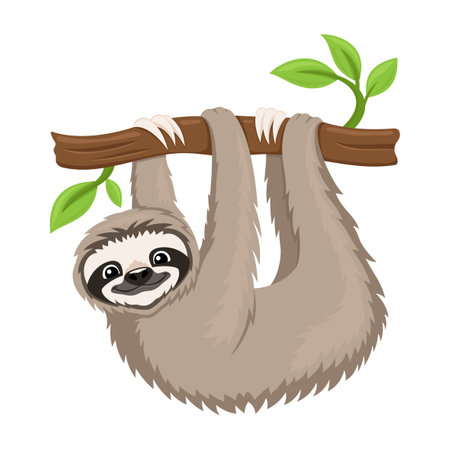 Cute animal sloth on a tree branch on a white background.のイラスト素材