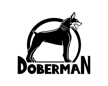 Doberman dog breed icon on white background.のイラスト素材