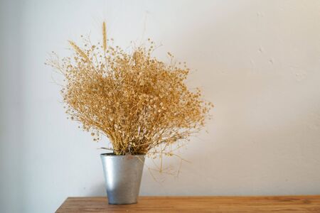 Beautiful dried grass Isolated white background.の写真素材