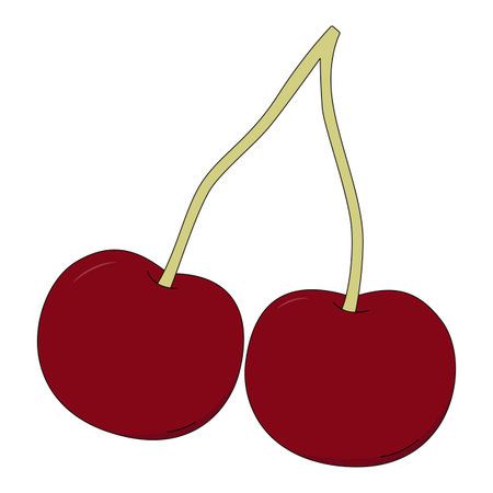 Vector illustration of cherry. Fruit in cartoon style isolated on white background