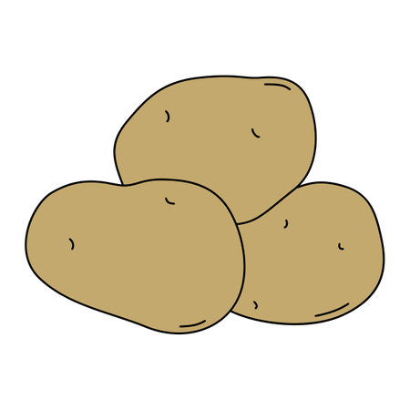 Cartoon vector illustration of potato isolated on white background. Ripe fresh vegetable for cooking, source of vitaminsのイラスト素材