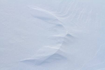 Snow texture with curves