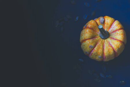 Decorative pumpkin surrounded with pumpkin seeds from above with, a copy spaceの写真素材