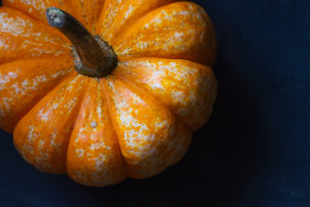 Decorative pumpkin shot from above, with a copy spaceの写真素材