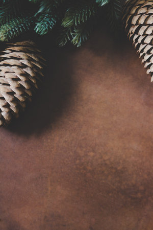 Christmas background of cones and fir trees, tinted, top view with a copy space
