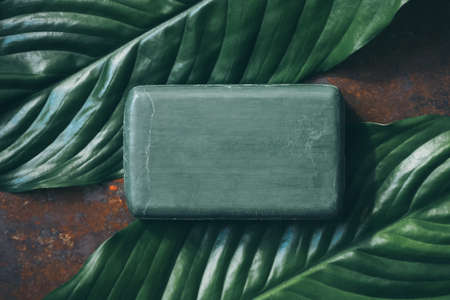 A piece of natural herbal soap made from oils on green leaves, mockupの写真素材