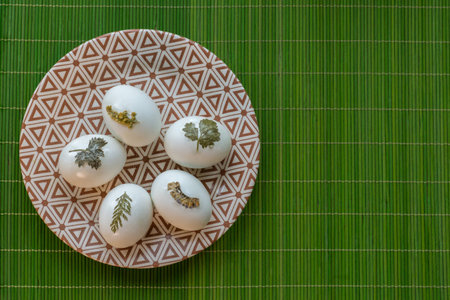 Easter eggs on the plate on the green backgroundの写真素材