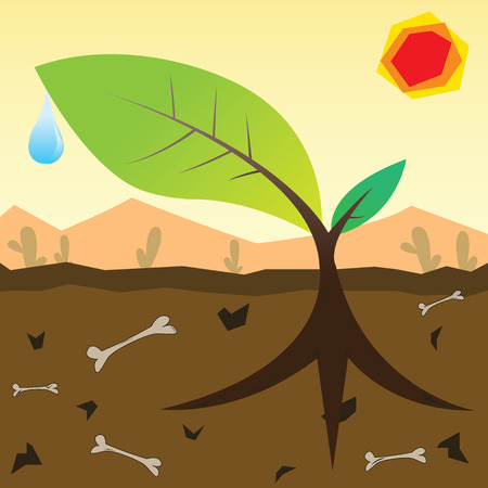 The green big root sprout with dewdrop among the dead desert のイラスト素材