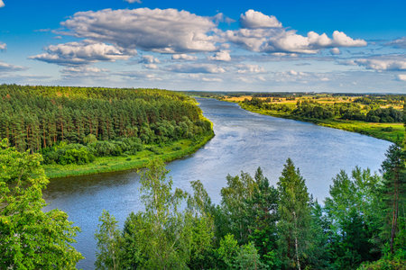 Beautiful Panoramic View. Amazing River and Forest Landscape