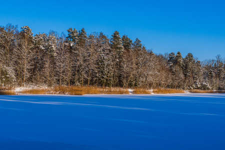 Beautiful Snowy Forest Rises on the Shore of a Frozen Lakeの写真素材