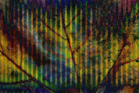 Colorful Leaf Textures and Background